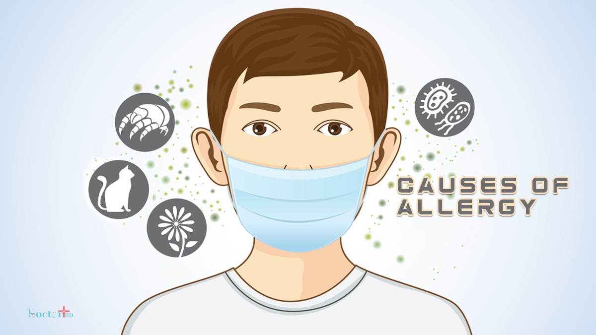 What Causes Allergy: Symptoms And Causes